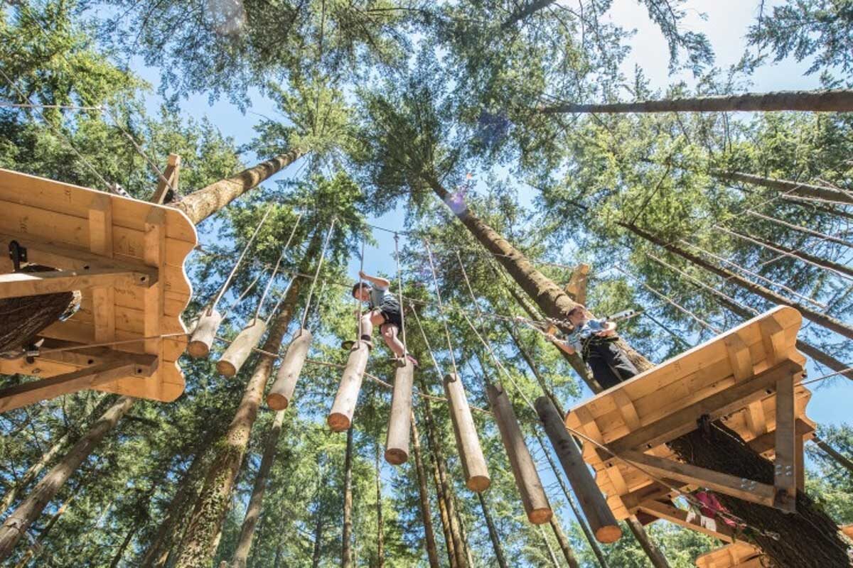 Zip World Betws-y-Coed (Fforest) — days out from The Rosedene